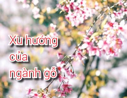 Xu hướng của ngành gỗ