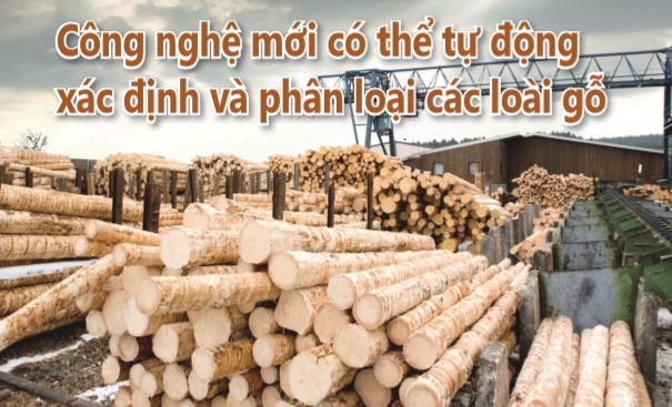 Công nghệ mới có thể tự động xác định và phân loại các loài gỗ  