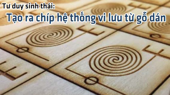 Tư duy sinh thái: Tạo ra chíp hệ thống vi lưu từ gỗ dán