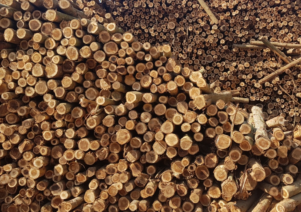 To release the timber pressure To release the timber pressure