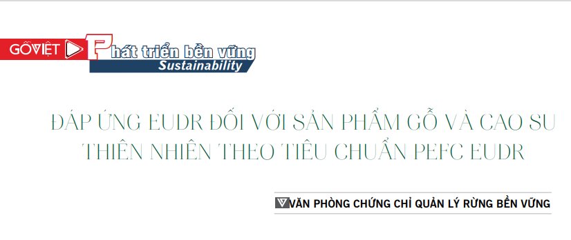 Đáp ứng EUDR đối với sản phẩm gỗ và cao su thiên nhiên theo tiêu chuẩn PEFC EUDR