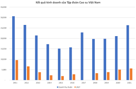 Tập đoàn Cao su sẽ chuyển đổi 100.000 ha đất để làm khu công nghiệp, nông nghiệp công nghệ cao