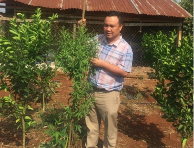 Image result for cây đàn hương tiến sĩ vũ thoại